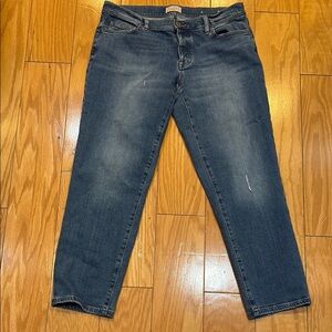 LOFT Blue Denim Jeans